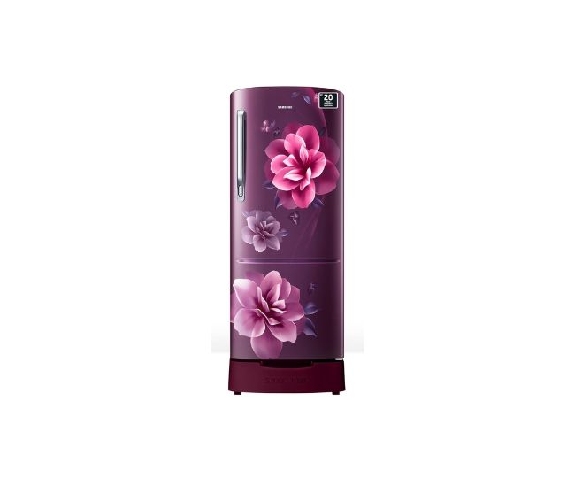 Best Samsung Refrigerators vs LG Refrigerators Keep Your Veggie Fresh